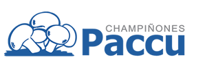 Paccu